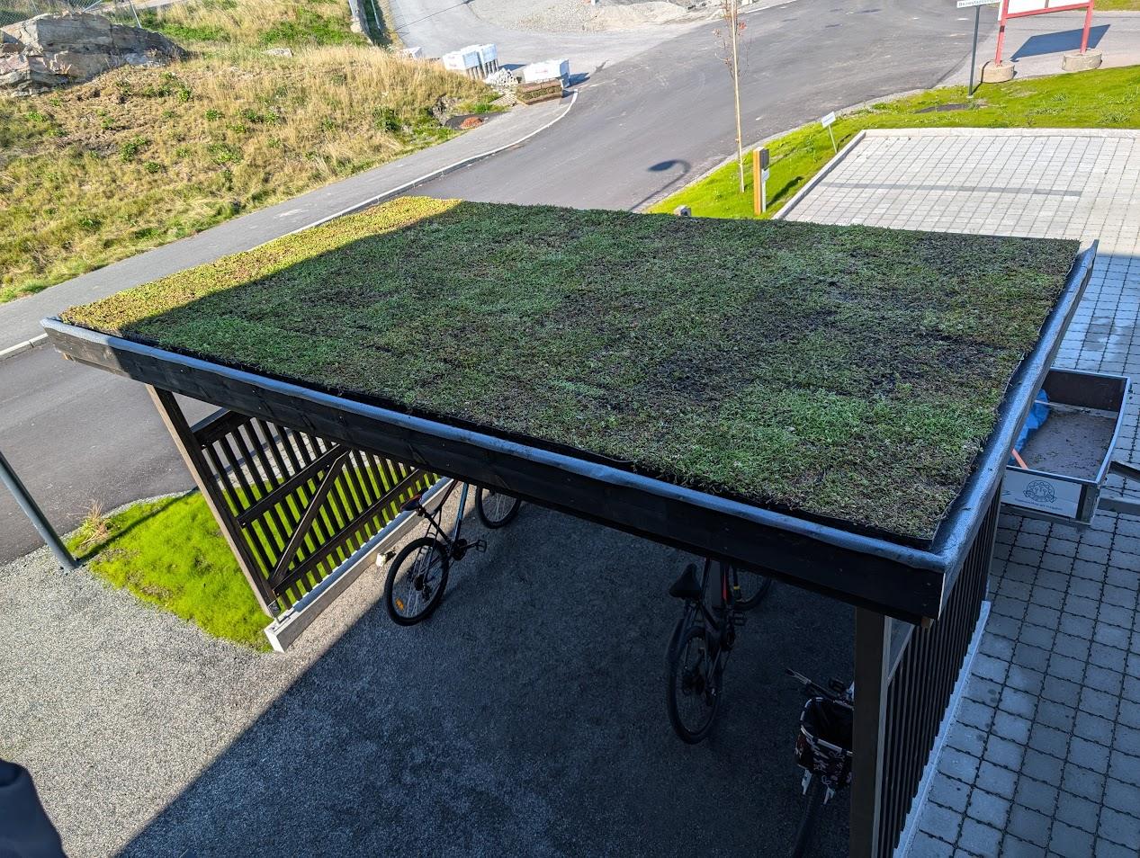 Sedumtak over en sykkelbod, sett ovenfra